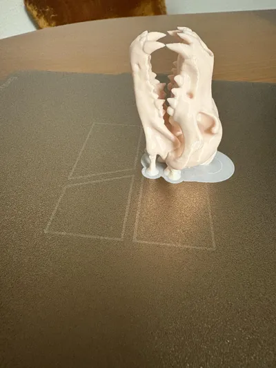 https://makerworld.bblmw.com/makerworld/model/1305063/1338130/ratings/a9e37620-181d-11f0-b672-01a693d3d710.jpg