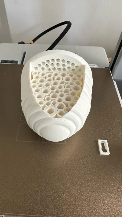 https://makerworld.bblmw.com/makerworld/model/1305419/1338609/ratings/00ba6aa0-1768-11f0-9ae5-d3023fc4e22b.jpg