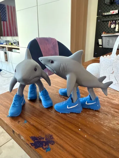 https://makerworld.bblmw.com/makerworld/model/1305982/1339324/ratings/558bf2d0-2774-11f0-9ded-513f55d4376e.jpg