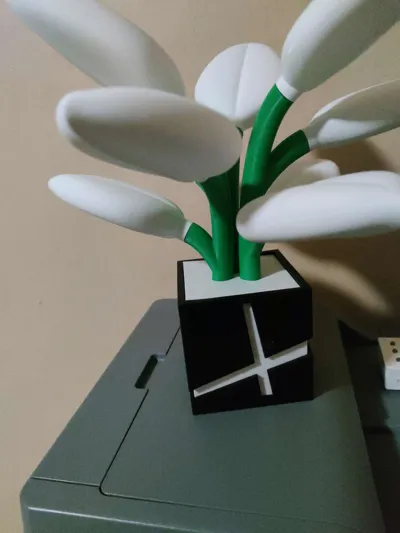 https://makerworld.bblmw.com/makerworld/model/1306144/1339684/ratings/06cd12c0-2079-11f0-9b65-67b78741020b.jpg