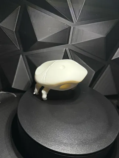https://makerworld.bblmw.com/makerworld/model/1307329/1340947/ratings/233fe5a0-1e5c-11f0-8e0c-1fd4d192cb07.jpg
