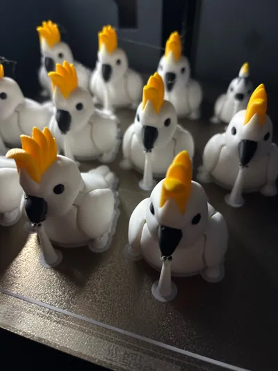 https://makerworld.bblmw.com/makerworld/model/1307719/1341423/ratings/58326230-f56e-11f0-86c5-2ba2bdf677e2.jpg