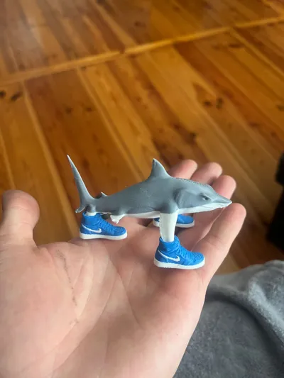 https://makerworld.bblmw.com/makerworld/model/1308439/1363322/ratings/8be7a4b0-64a9-11f0-b4e9-abf18ea2b52c.jpg