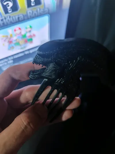 https://makerworld.bblmw.com/makerworld/model/1309662/1343692/ratings/e8c21e10-3117-11f0-bd6d-3f07765bc80b.jpg