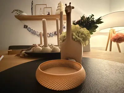 https://makerworld.bblmw.com/makerworld/model/1309907/1343977/ratings/e88da9b0-d7a1-11f0-a508-83c8c1fd6b67.jpg