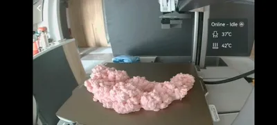 https://makerworld.bblmw.com/makerworld/model/1310227/1344353/ratings/376c60a0-1946-11f0-9ae2-a53a87acc067.jpg
