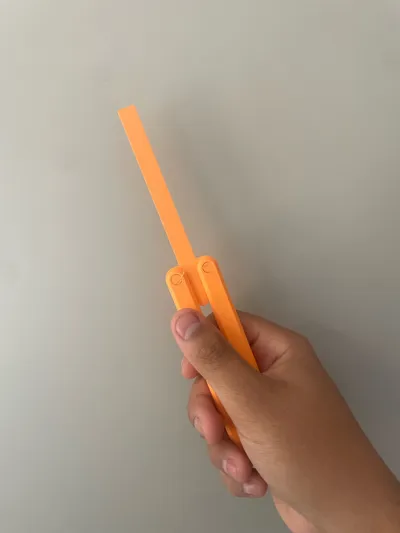 https://makerworld.bblmw.com/makerworld/model/1310510/1344675/ratings/0b86df10-5041-11f0-83ef-1f04fba967a7.jpg