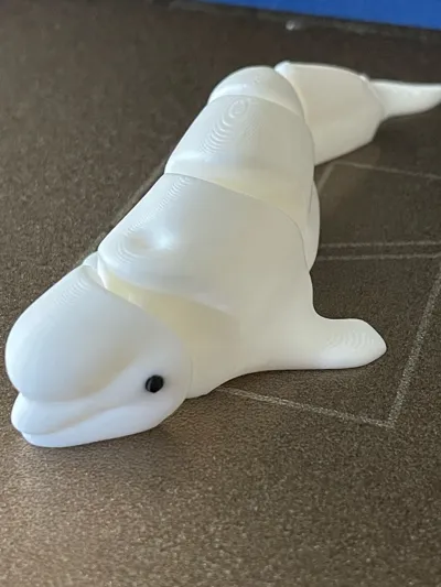 https://makerworld.bblmw.com/makerworld/model/131086/863807/ratings/2a869690-ab67-11f0-afde-6b5e5b1e1efd.jpg