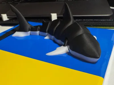 https://makerworld.bblmw.com/makerworld/model/131088/1294355/ratings/dc2ad800-1406-11f0-af1c-a5d880c5d158.jpg