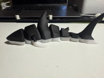 https://makerworld.bblmw.com/makerworld/model/131088/1294355/ratings/dc32a030-1406-11f0-af1c-a5d880c5d158.jpg