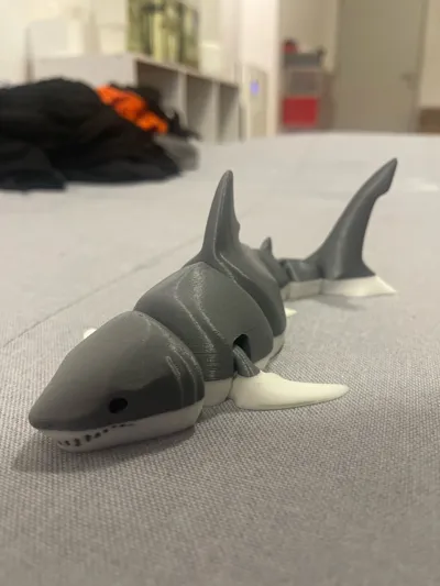 https://makerworld.bblmw.com/makerworld/model/131088/147491/ratings/b7e582b0-267b-11f0-b833-c9b2ff1344f5.jpg
