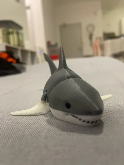 https://makerworld.bblmw.com/makerworld/model/131088/147491/ratings/b7e5a9c0-267b-11f0-b833-c9b2ff1344f5.jpg