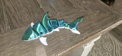 https://makerworld.bblmw.com/makerworld/model/131088/148997/ratings/299151c0-739b-11f0-819c-2104cd64d824.jpg