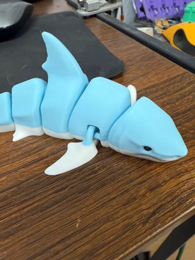 https://makerworld.bblmw.com/makerworld/model/131088/148997/ratings/34dd7d50-a76d-11f0-a18f-9ba703d76569.jpg