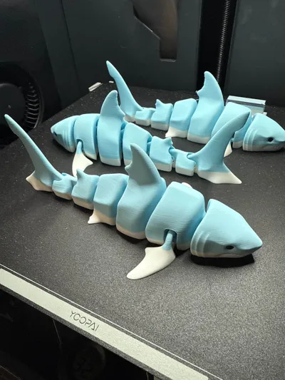 https://makerworld.bblmw.com/makerworld/model/131088/148997/ratings/34efccd0-a76d-11f0-a18f-9ba703d76569.jpg