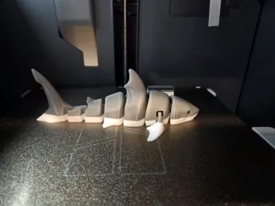 https://makerworld.bblmw.com/makerworld/model/131088/148997/ratings/383bfae0-23f5-11f0-9d3c-39ddd3833de6.jpg
