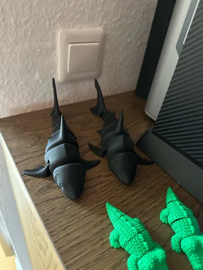 https://makerworld.bblmw.com/makerworld/model/131088/148997/ratings/51bb13e0-a698-11f0-8523-1b1b05f41f03.jpg