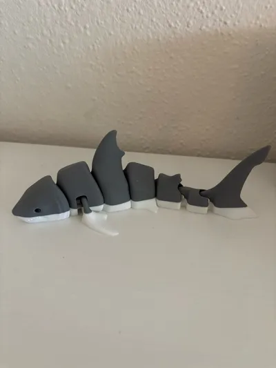 https://makerworld.bblmw.com/makerworld/model/131088/148997/ratings/9ea3a040-8cb8-11f0-b064-193be7c62037.jpg