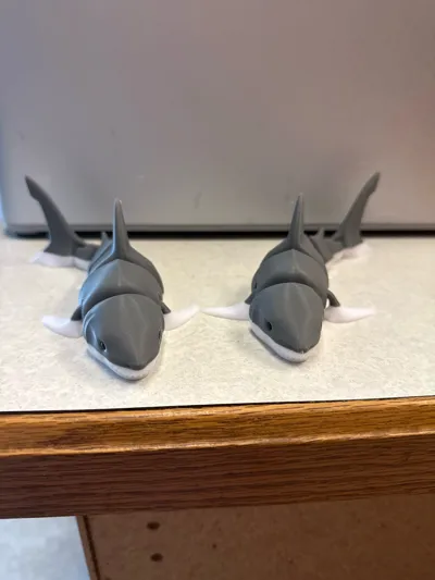 https://makerworld.bblmw.com/makerworld/model/131088/148997/ratings/a4fd8490-1235-11f0-8e74-a18db8143d40.jpg