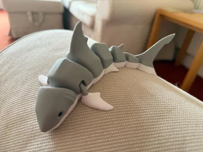 https://makerworld.bblmw.com/makerworld/model/131088/148997/ratings/acc0bbc0-6659-11f0-8dca-173a0e166486.jpg