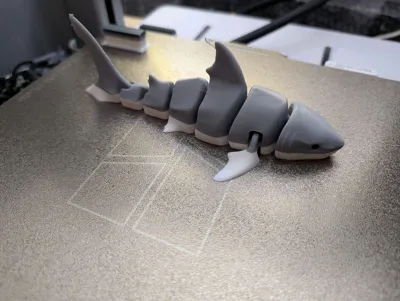 https://makerworld.bblmw.com/makerworld/model/131088/148997/ratings/dc830950-8966-11f0-83d9-bb0ff93215e3.jpg