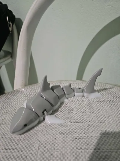 https://makerworld.bblmw.com/makerworld/model/131088/152634/ratings/f48fb640-d495-11f0-867f-1bcf2d10acdc.jpg