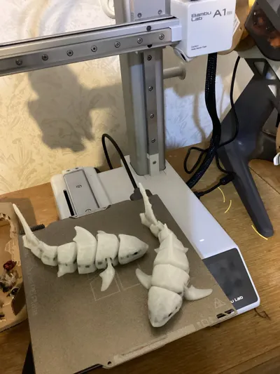 https://makerworld.bblmw.com/makerworld/model/131088/471895/ratings/3c13fe40-64ca-11f0-80e9-9184add8cbf8.jpg