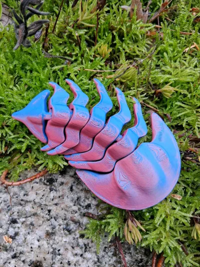 https://makerworld.bblmw.com/makerworld/model/131093/142922/ratings/df536610-e047-11f0-96fe-b9352488393b.jpg
