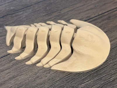 https://makerworld.bblmw.com/makerworld/model/131093/144323/ratings/1bdaf320-7994-11f0-b742-216229ff7fac.jpg