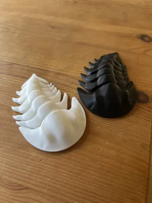 https://makerworld.bblmw.com/makerworld/model/131093/144323/ratings/b4040c00-fbf8-11ef-b105-8d8fe79921e6.jpg