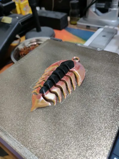 https://makerworld.bblmw.com/makerworld/model/131093/1993602/ratings/60f5e2e0-0719-11f1-8356-45850ec4a0fb.jpg