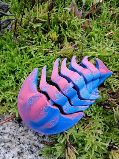 https://makerworld.bblmw.com/makerworld/model/131093/1993602/ratings/d42803b0-d93d-11f0-ba74-3bc6b35edc6e.jpg