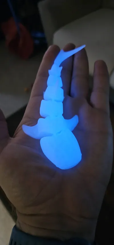 https://makerworld.bblmw.com/makerworld/model/131095/147555/ratings/f3caf160-5098-11f0-b01c-9770339de601.jpg