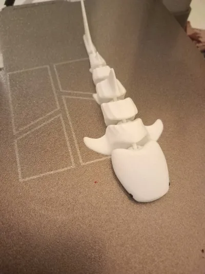 https://makerworld.bblmw.com/makerworld/model/131095/341388/ratings/a0a7c1f0-a2e3-11f0-8fac-d7d911b4f259.jpg