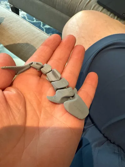 https://makerworld.bblmw.com/makerworld/model/131095/462987/ratings/a67163a0-39b8-11f0-ba81-c702eb5b6760.jpg