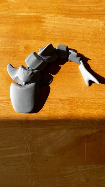 https://makerworld.bblmw.com/makerworld/model/131095/534619/ratings/9721b020-43be-11f0-bb35-3796b4daf101.jpg