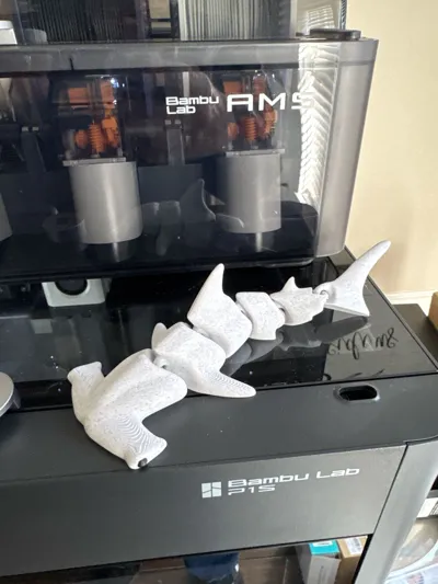https://makerworld.bblmw.com/makerworld/model/131100/863739/ratings/74735040-f56d-11f0-9e84-bb4f66bf94e3.jpg