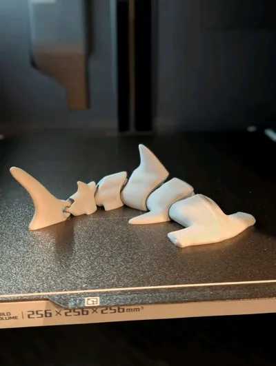 https://makerworld.bblmw.com/makerworld/model/131100/863751/ratings/13418840-9e66-11f0-beab-07cb476ae271.jpg
