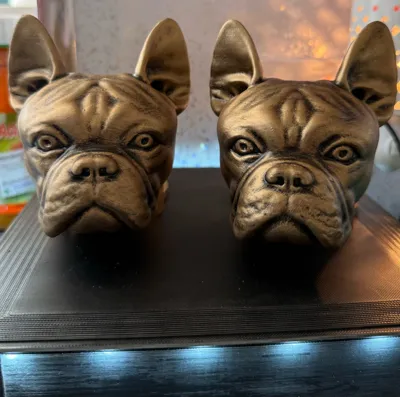 https://makerworld.bblmw.com/makerworld/model/1311475/1419902/ratings/16c61710-401f-11f0-b4d7-bb35127d99b1.jpg