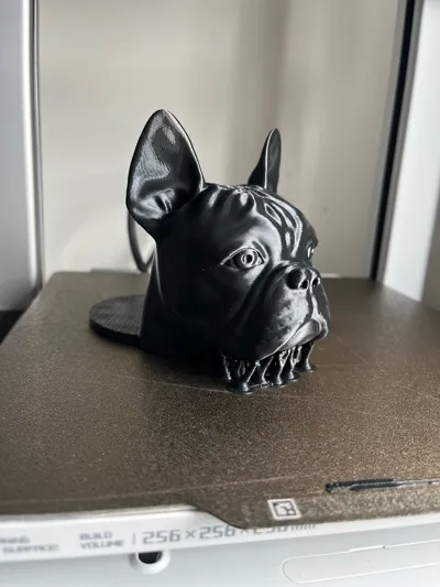 https://makerworld.bblmw.com/makerworld/model/1311475/1419902/ratings/8a489fe0-6708-11f0-90fd-b5f356356b90.jpg
