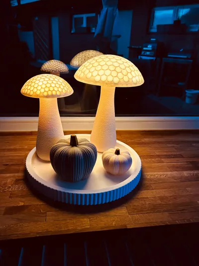 https://makerworld.bblmw.com/makerworld/model/1312183/1346630/ratings/52519920-9bc4-11f0-a1b9-130f310cd009.jpg