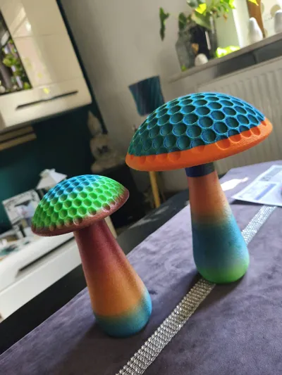 https://makerworld.bblmw.com/makerworld/model/1312183/1346665/ratings/1a4b9360-8ff7-11f0-a0cf-e7cc14464f15.jpg