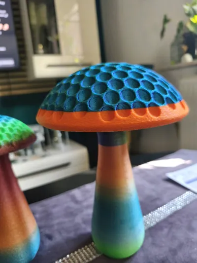 https://makerworld.bblmw.com/makerworld/model/1312183/1346665/ratings/1a4ea0a0-8ff7-11f0-a0cf-e7cc14464f15.jpg