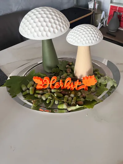 https://makerworld.bblmw.com/makerworld/model/1312183/1346665/ratings/8c6a6010-90d9-11f0-969c-e1679f1be1d0.jpg