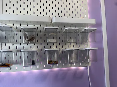 https://makerworld.bblmw.com/makerworld/model/1312216/1346676/ratings/f36d7a30-1b05-11f0-8e45-9781de3bd73e.jpg