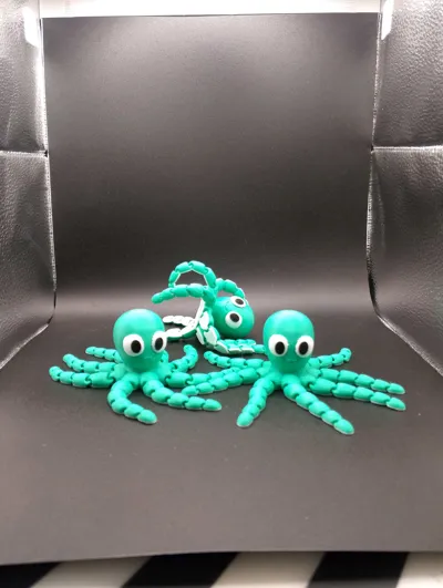 https://makerworld.bblmw.com/makerworld/model/1312787/1347325/ratings/03b47800-2793-11f0-9492-bb560dd53293.jpg