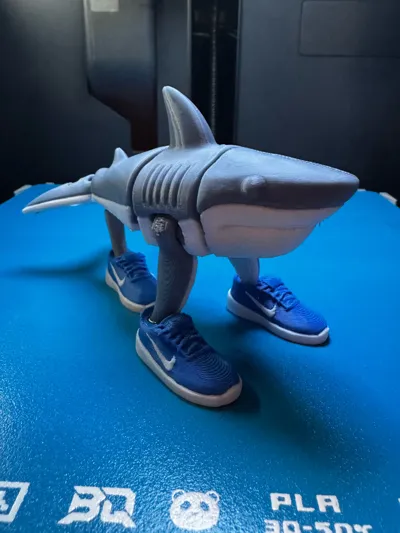 https://makerworld.bblmw.com/makerworld/model/1313030/1347628/ratings/020fb3f0-2088-11f0-89af-d5f7a091d36a.jpg