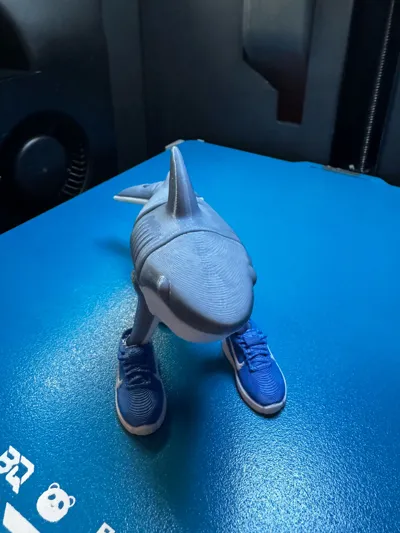 https://makerworld.bblmw.com/makerworld/model/1313030/1347628/ratings/020fdb00-2088-11f0-89af-d5f7a091d36a.jpg