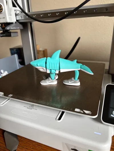 https://makerworld.bblmw.com/makerworld/model/1313030/1347628/ratings/554d2c40-a0ae-11f0-999f-3144a3040af6.jpg