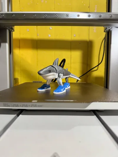 https://makerworld.bblmw.com/makerworld/model/1313030/1347628/ratings/5d4ae860-3f4c-11f0-92cb-f319f0e1c283.jpg